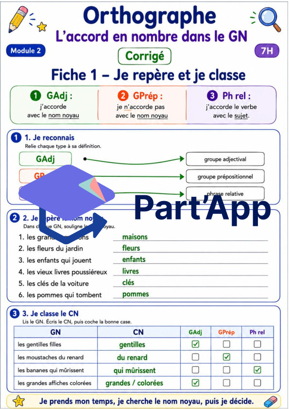 Orthographe 7H – Module 2 : l’accord dans le GN_5