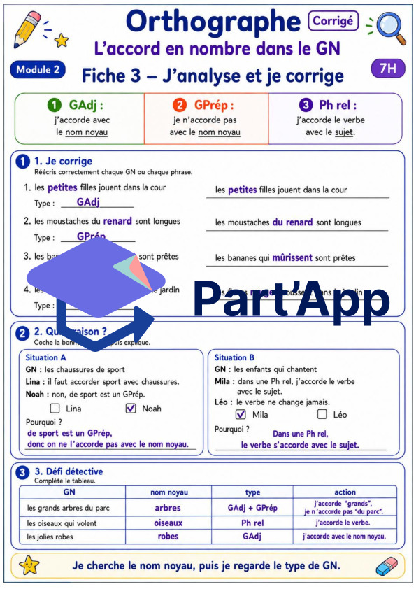 Orthographe 7H – Module 2 : l’accord dans le GN_9