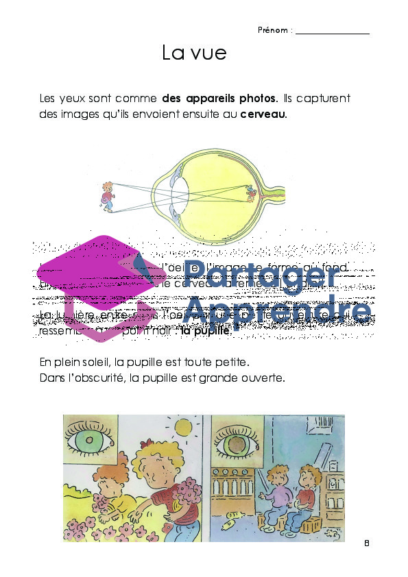 Dossier sur les 5 sens_9