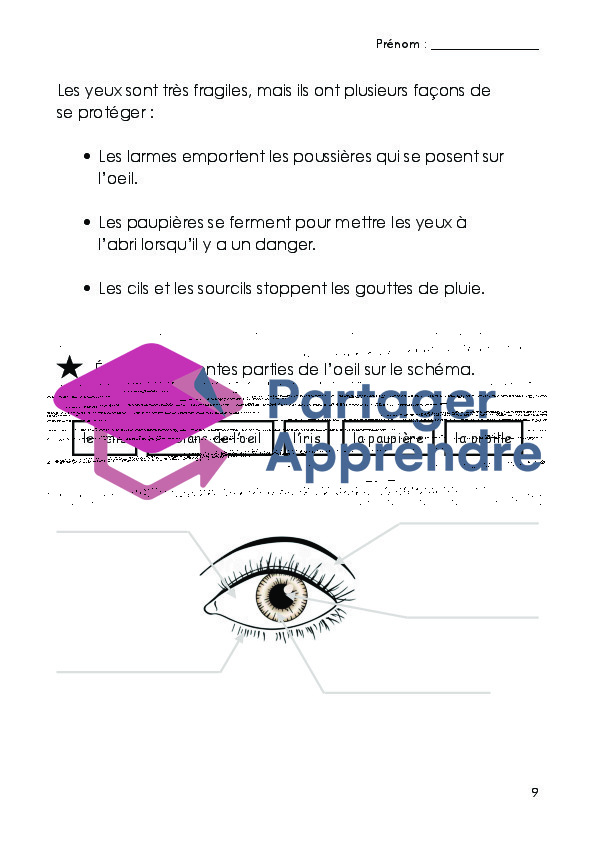 Dossier sur les 5 sens_10