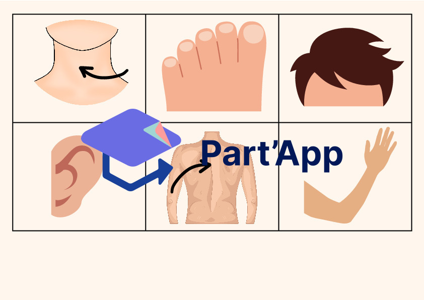 Loto des parties du corps_6
