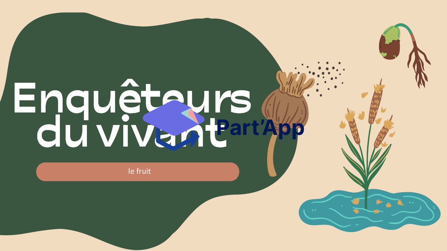 Séquence sciences – Le fruit : enquêteurs du vivant (7H)_10