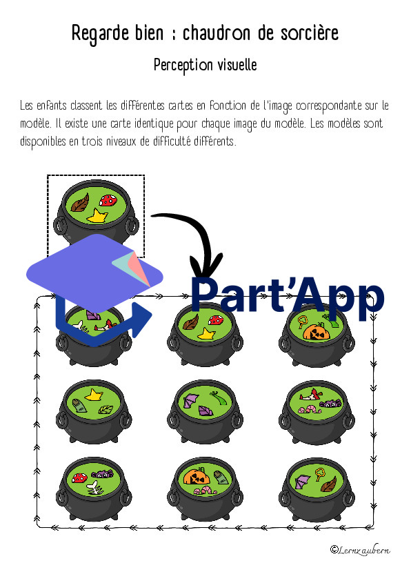 Perception visuelle : la sorcière (1-2H)_3