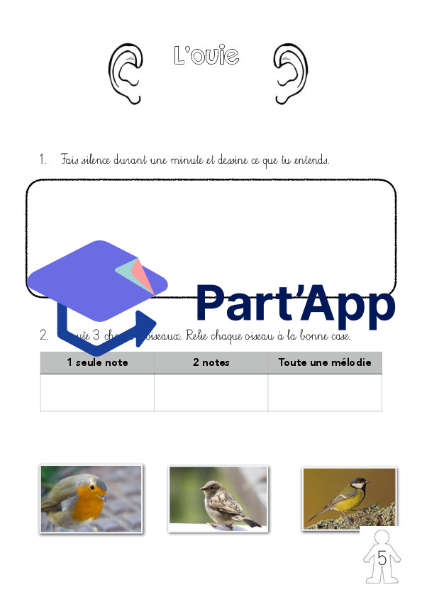 Corps humain_7