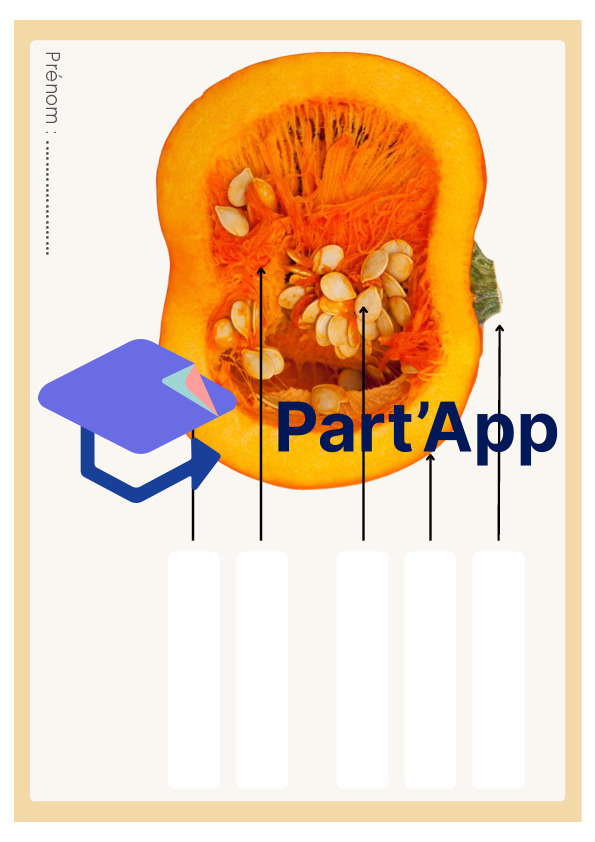 Séquence de sciences : La courge_4