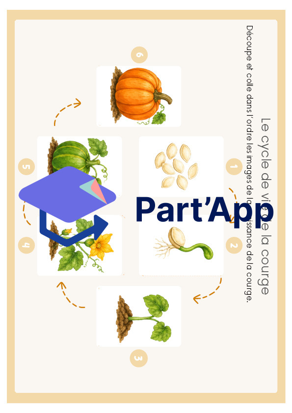 Séquence de sciences : La courge_5