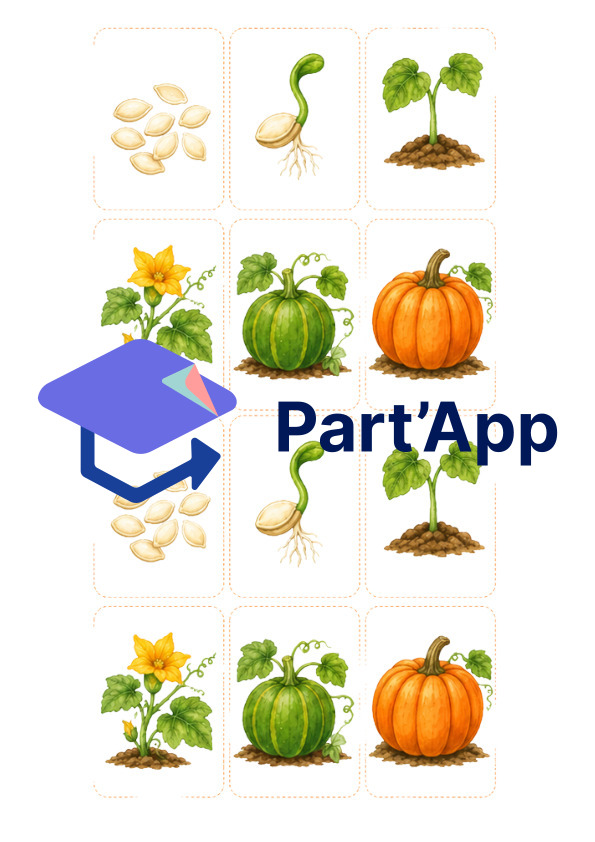 Séquence de sciences : La courge_7