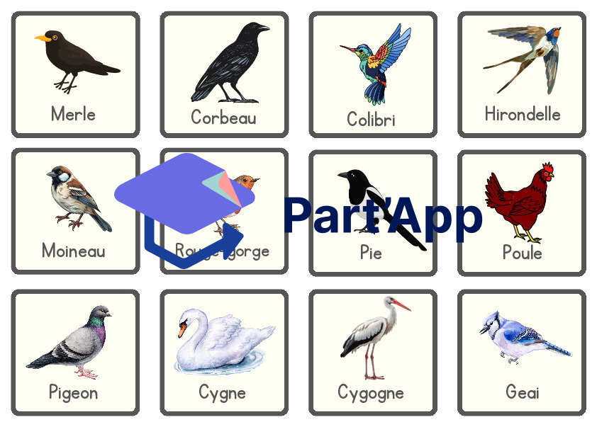 4 jeux : les oiseaux_3