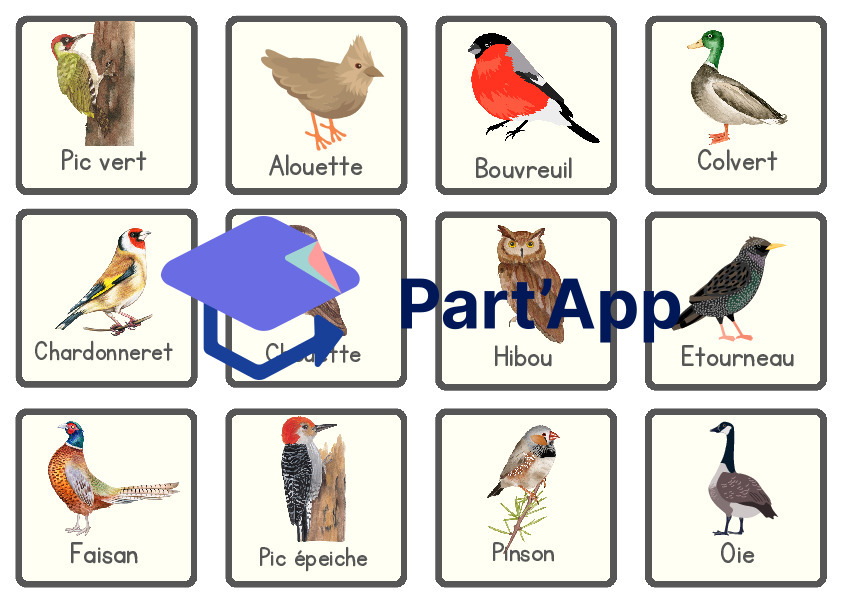 4 jeux : les oiseaux_5