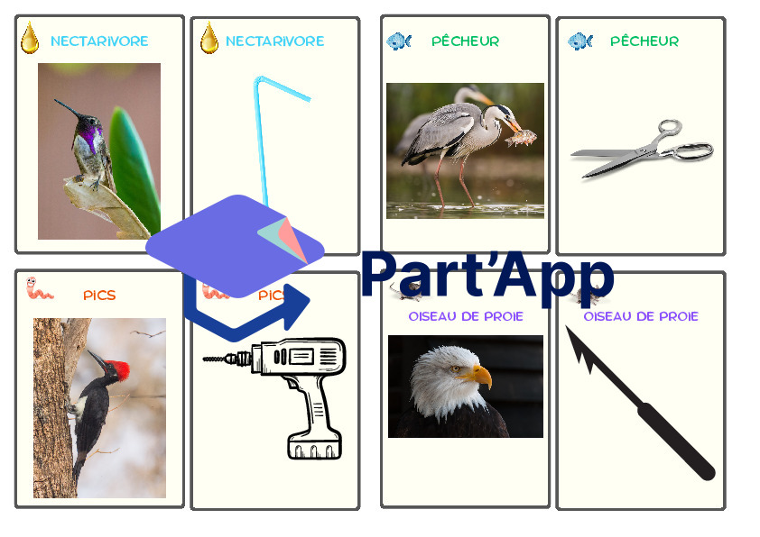 4 jeux : les oiseaux_8