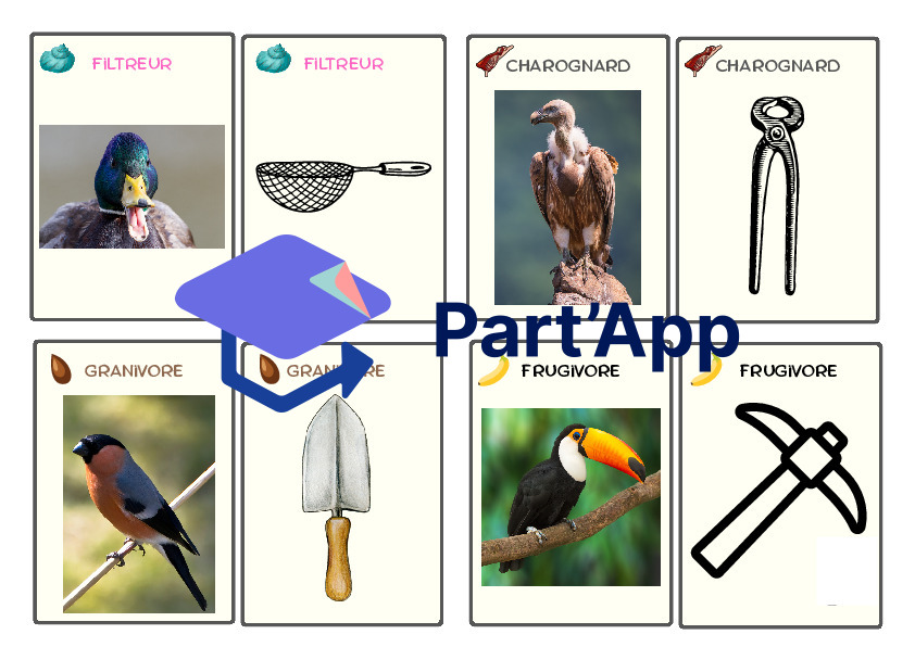 4 jeux : les oiseaux_10