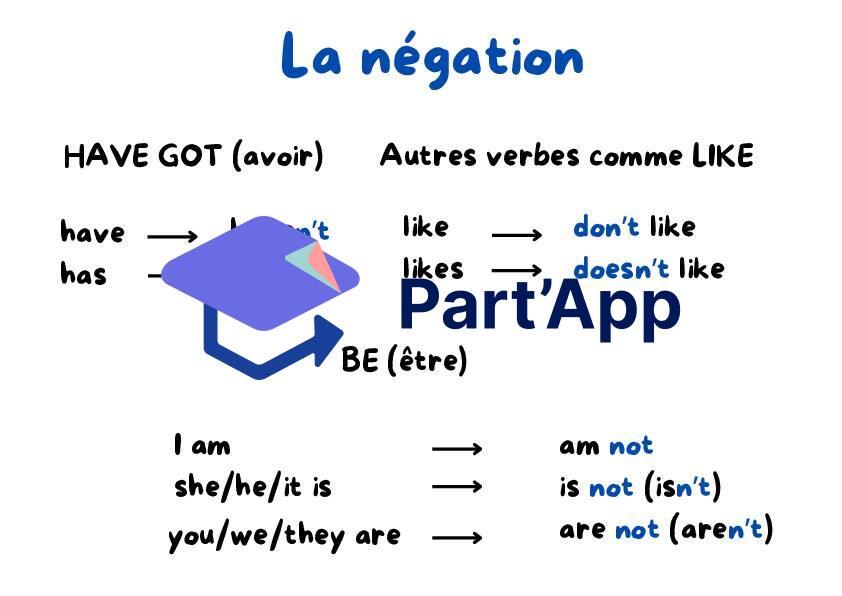 Affichage WH-words + négation_3