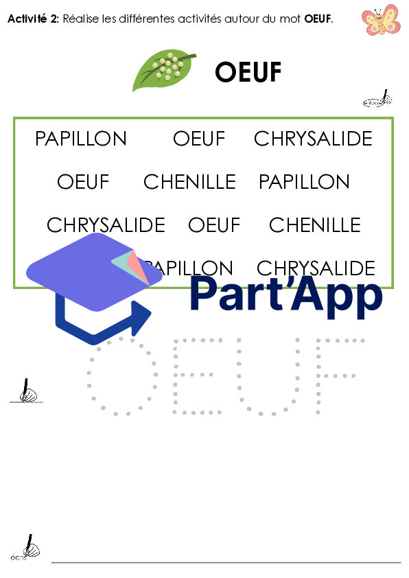 Dossier sur le papillon - 2P_4