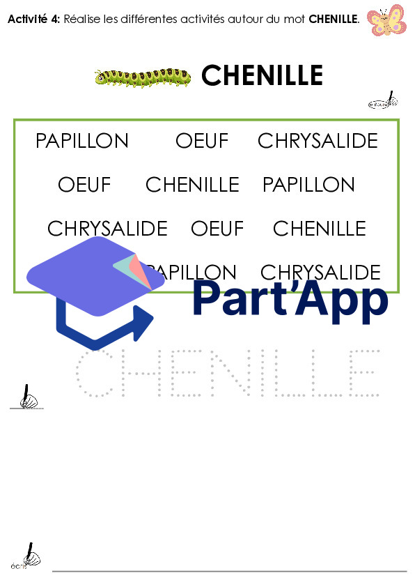 Dossier sur le papillon - 2P_6