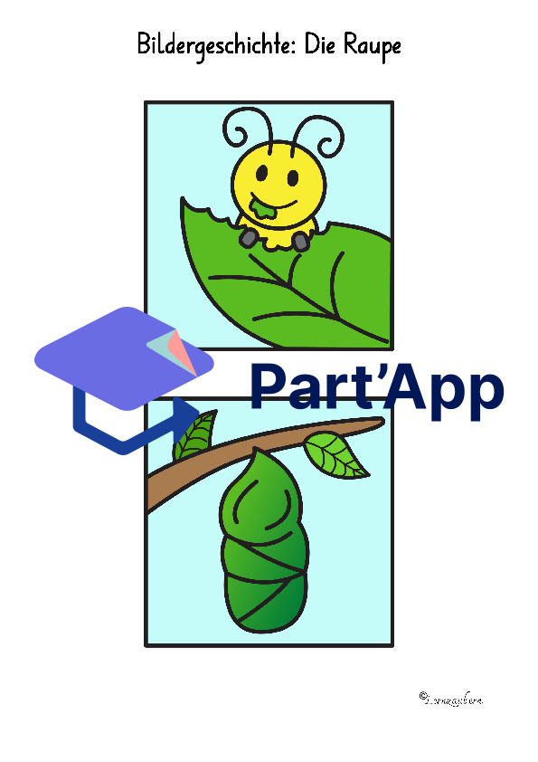 Bildergeschichte: Von der Raupe zum Schmetterling_24