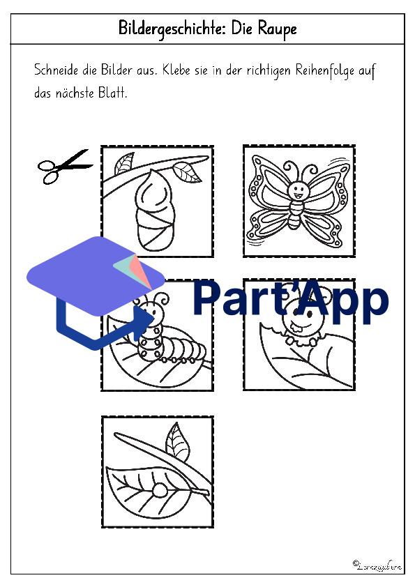 Bildergeschichte: Von der Raupe zum Schmetterling_26
