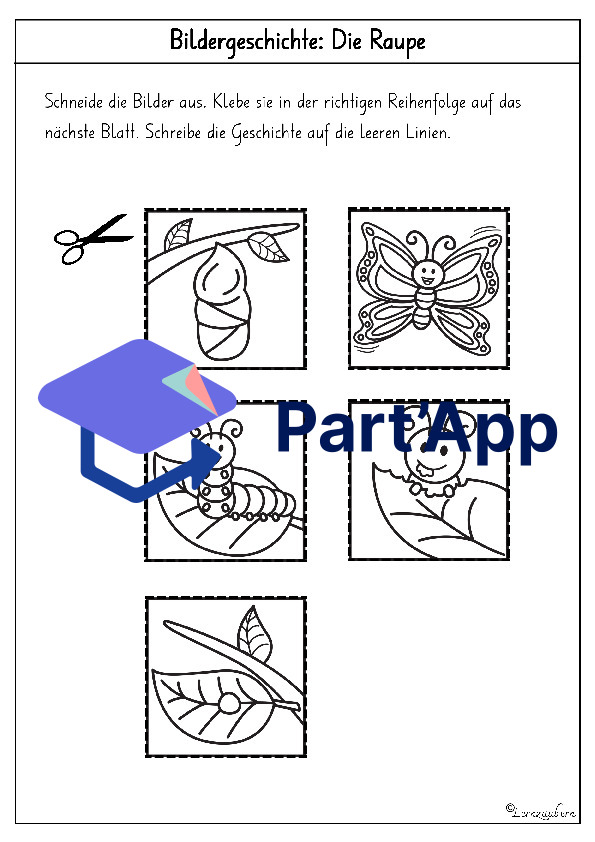 Bildergeschichte: Von der Raupe zum Schmetterling_28