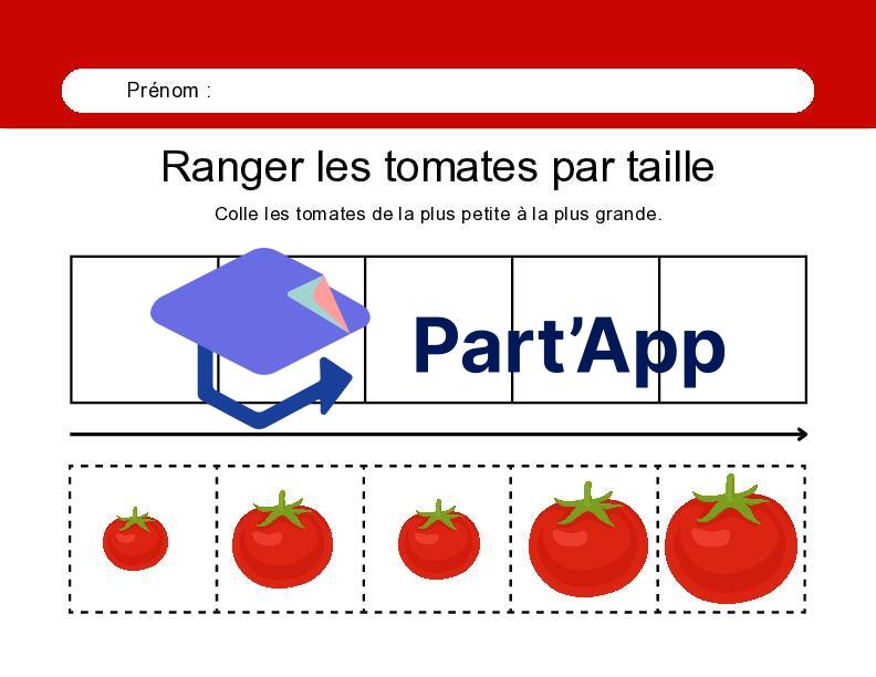 Exercices de tri par grandeur_11
