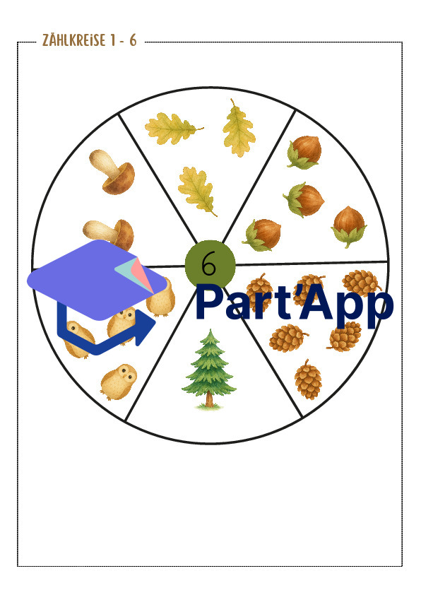 Cercles de comptage Forêt_11