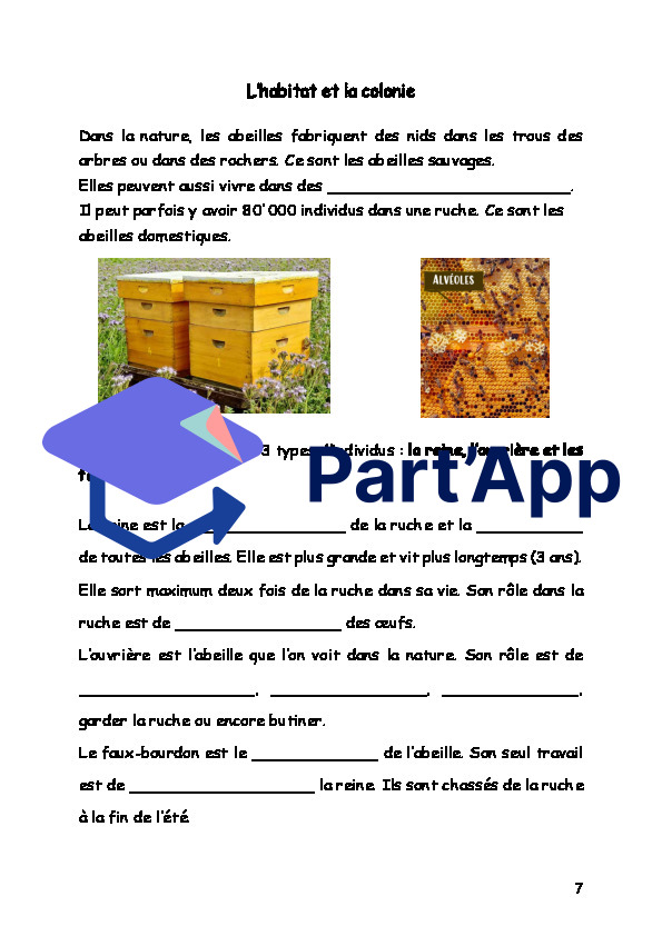 Dossier - les abeille 4P_8