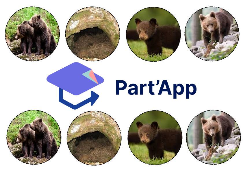 La vie des ours_4