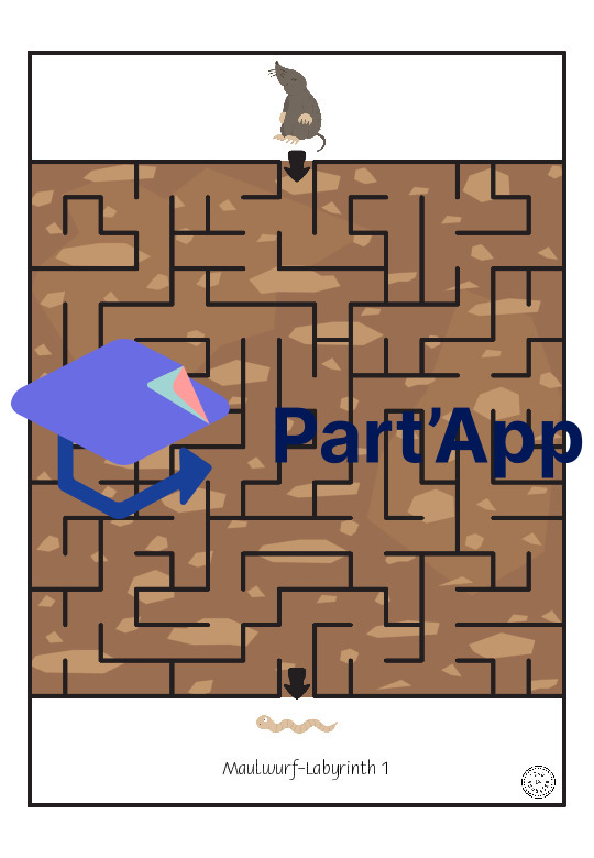 Labyrinthe de la taupe_10
