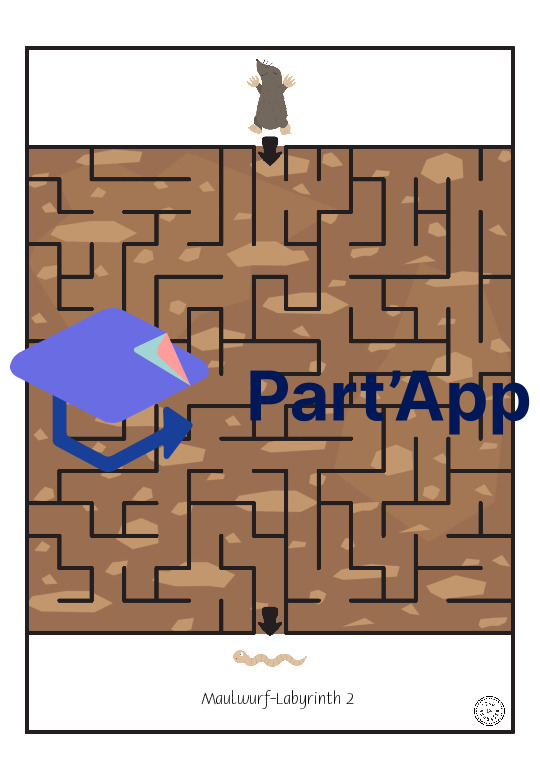 Labyrinthe de la taupe_12