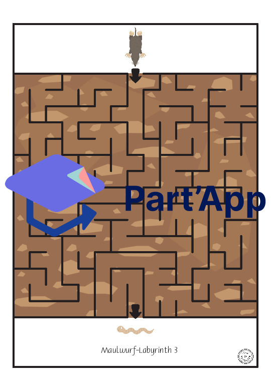Labyrinthe de la taupe_14