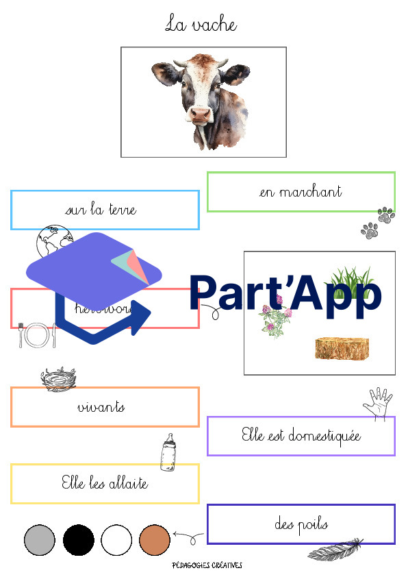 Récits & Questions d'animaux - Montessori 6-12 ans_6