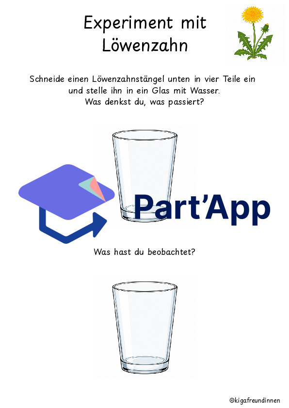 Experimente mit Löwenzahn_3