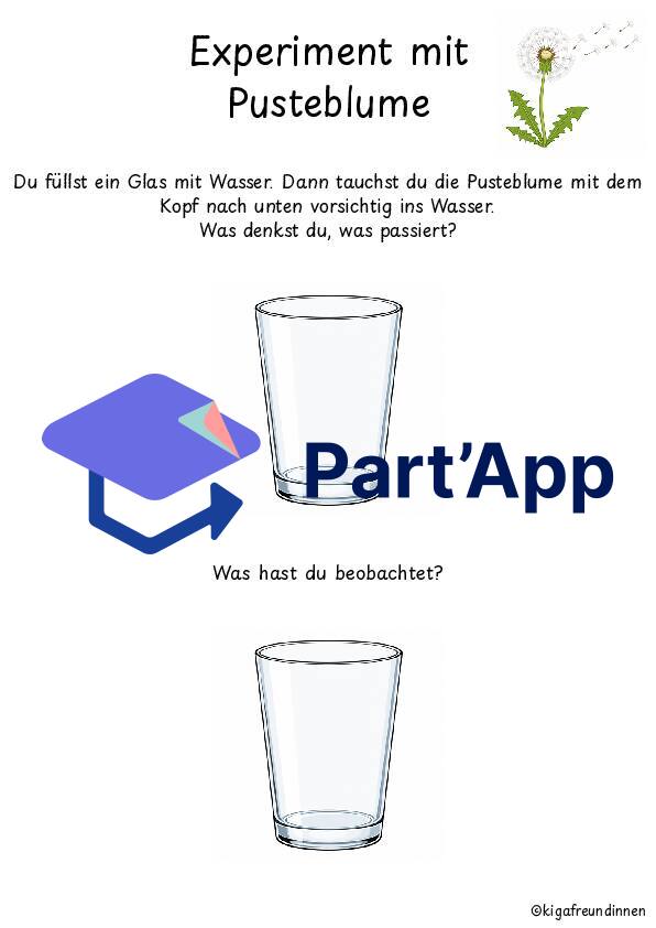 Experimente mit Löwenzahn_4