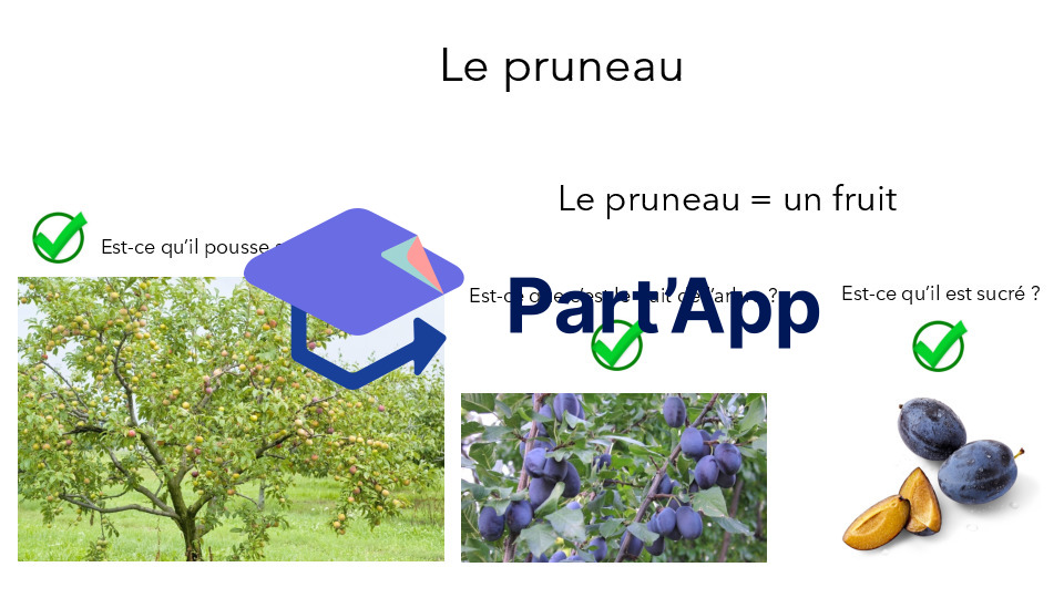 Séquence sur les fruits et légumes + sur le métier du maraicher + cycle de vie du haricot_4