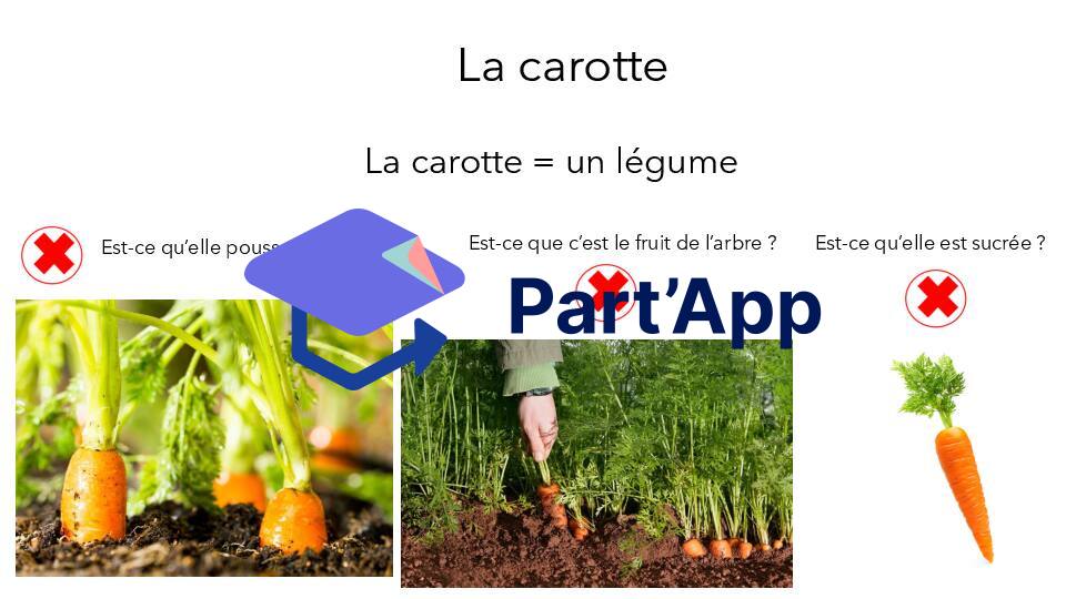 Séquence sur les fruits et légumes + sur le métier du maraicher + cycle de vie du haricot_5
