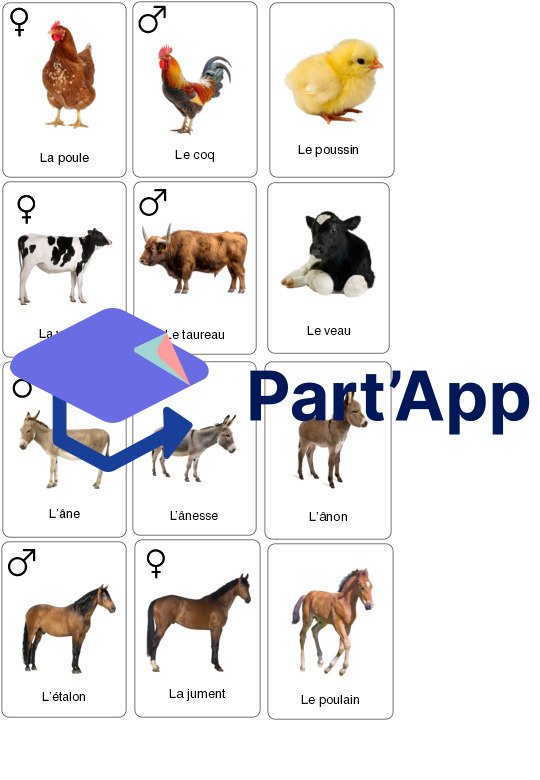 Supports – Les animaux de la ferme_17