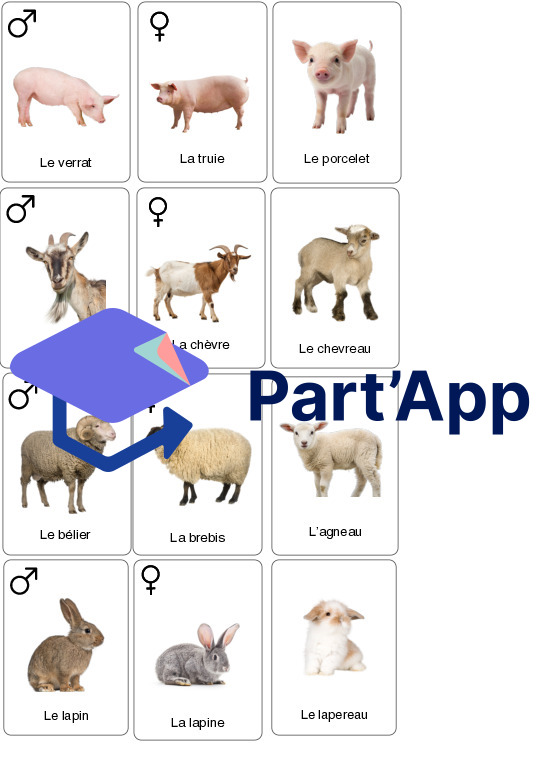 Supports – Les animaux de la ferme_18
