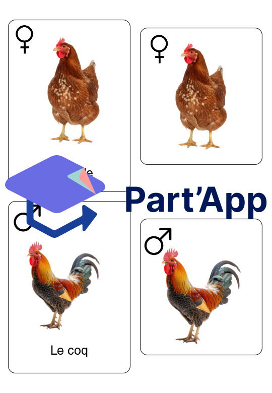 Supports – Les animaux de la ferme_19