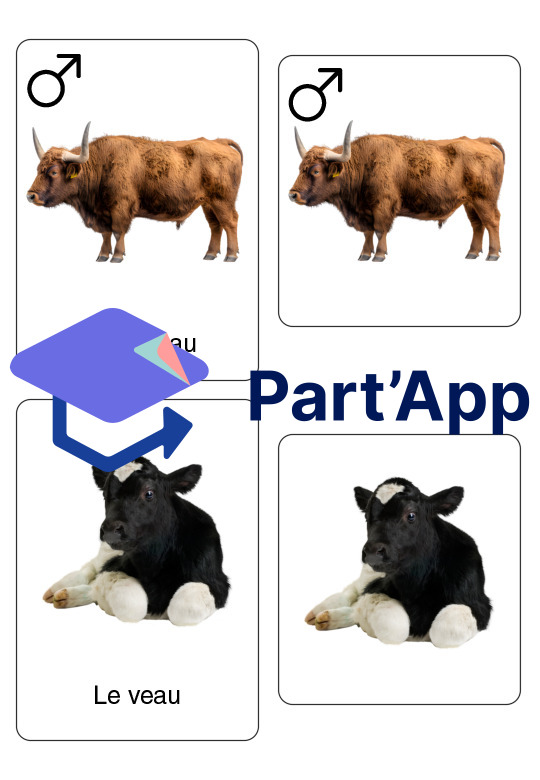 Supports – Les animaux de la ferme_21