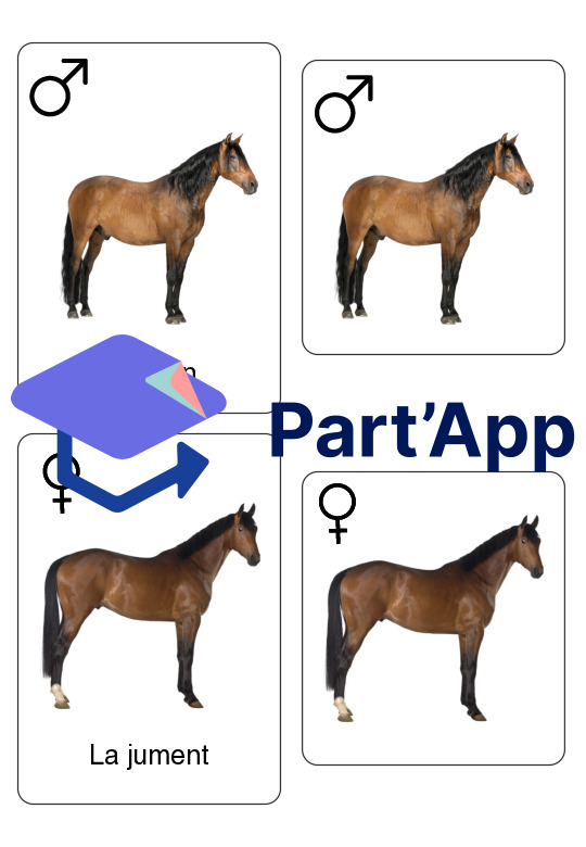 Supports – Les animaux de la ferme_22