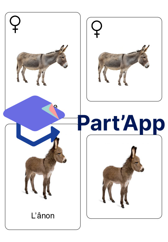 Supports – Les animaux de la ferme_24
