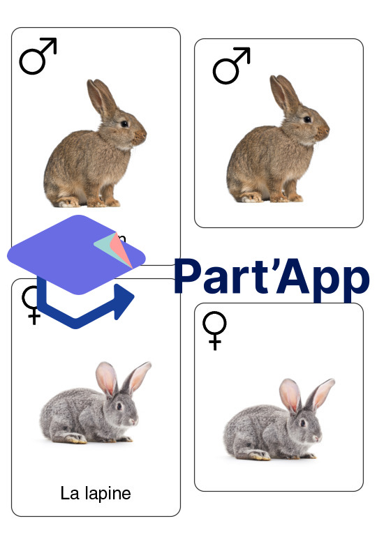 Supports – Les animaux de la ferme_25