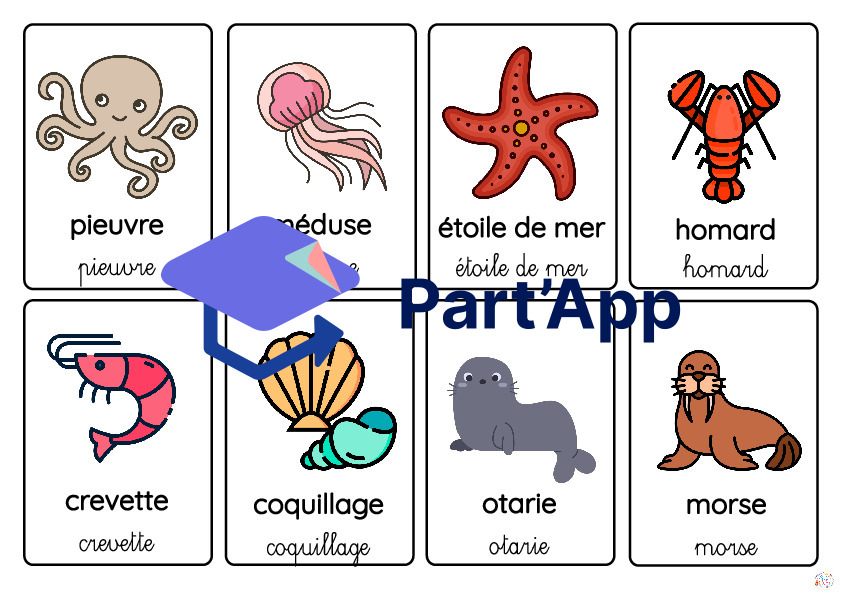 Carte de vocabulaire - Les animaux marins_3