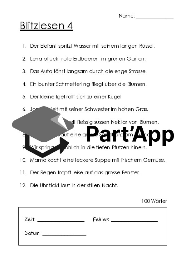 Blitzlesen 2. Klasse : Promotion de la lecture & augmentation de la vitesse de lecture - 10 fiches d'exercices pour une lecture fluide avec protocole de lecture_8