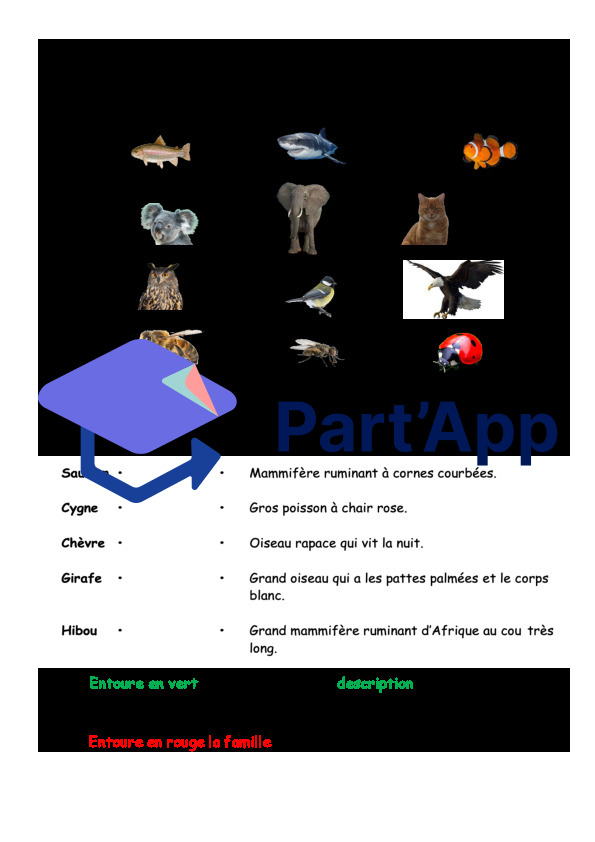 Dossier - Article encyclopédique animalier_11