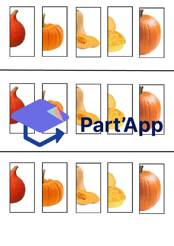 Variété de courges_3