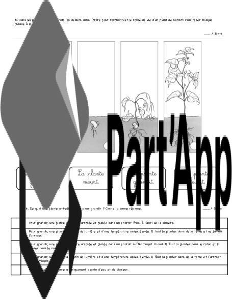 Évaluation : germination & cycle de vie de la plante_6