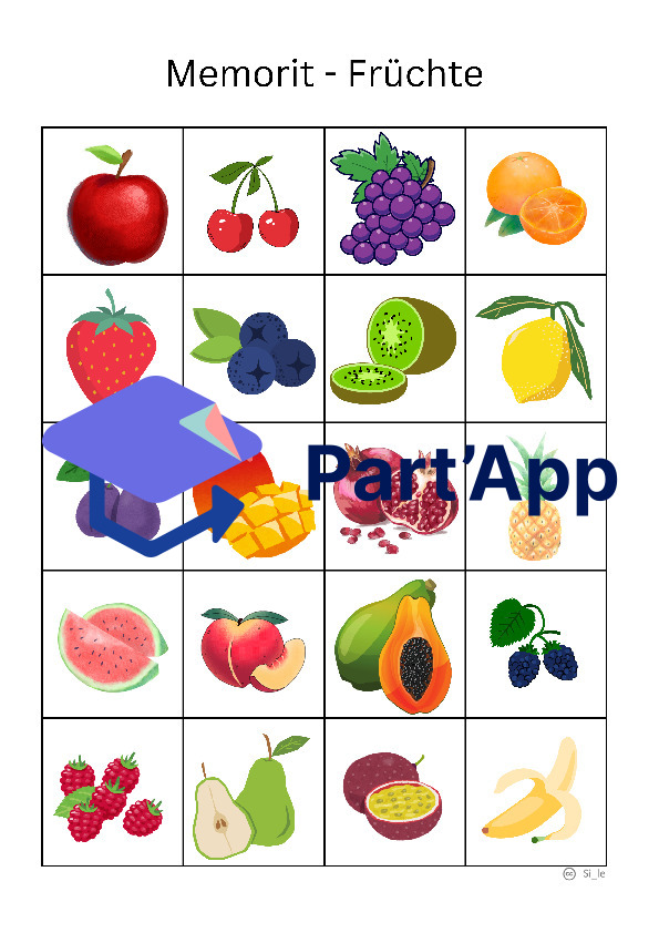 Memorit - Fruits de la mémoire_2