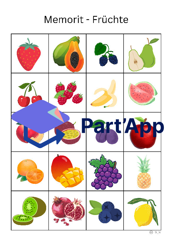 Memorit - Fruits de la mémoire_3