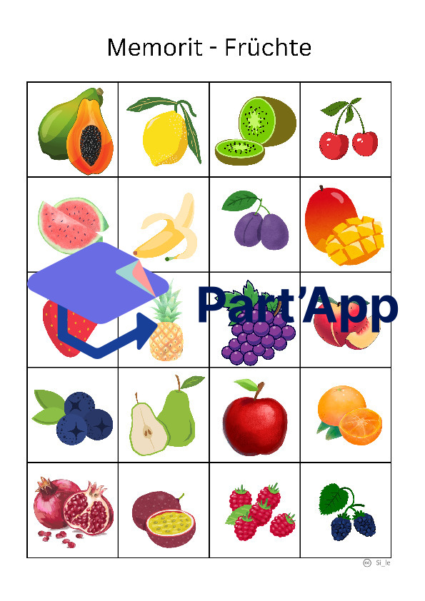 Memorit - Fruits de la mémoire_4