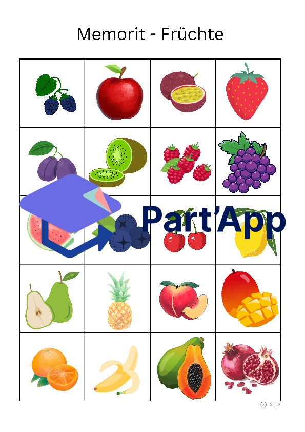 Memorit - Fruits de la mémoire_5