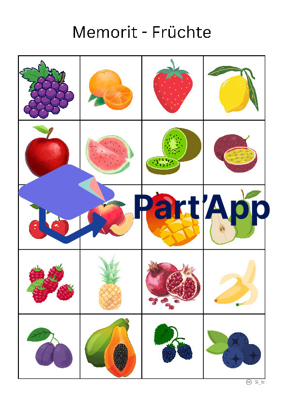 Memorit - Fruits de la mémoire_7